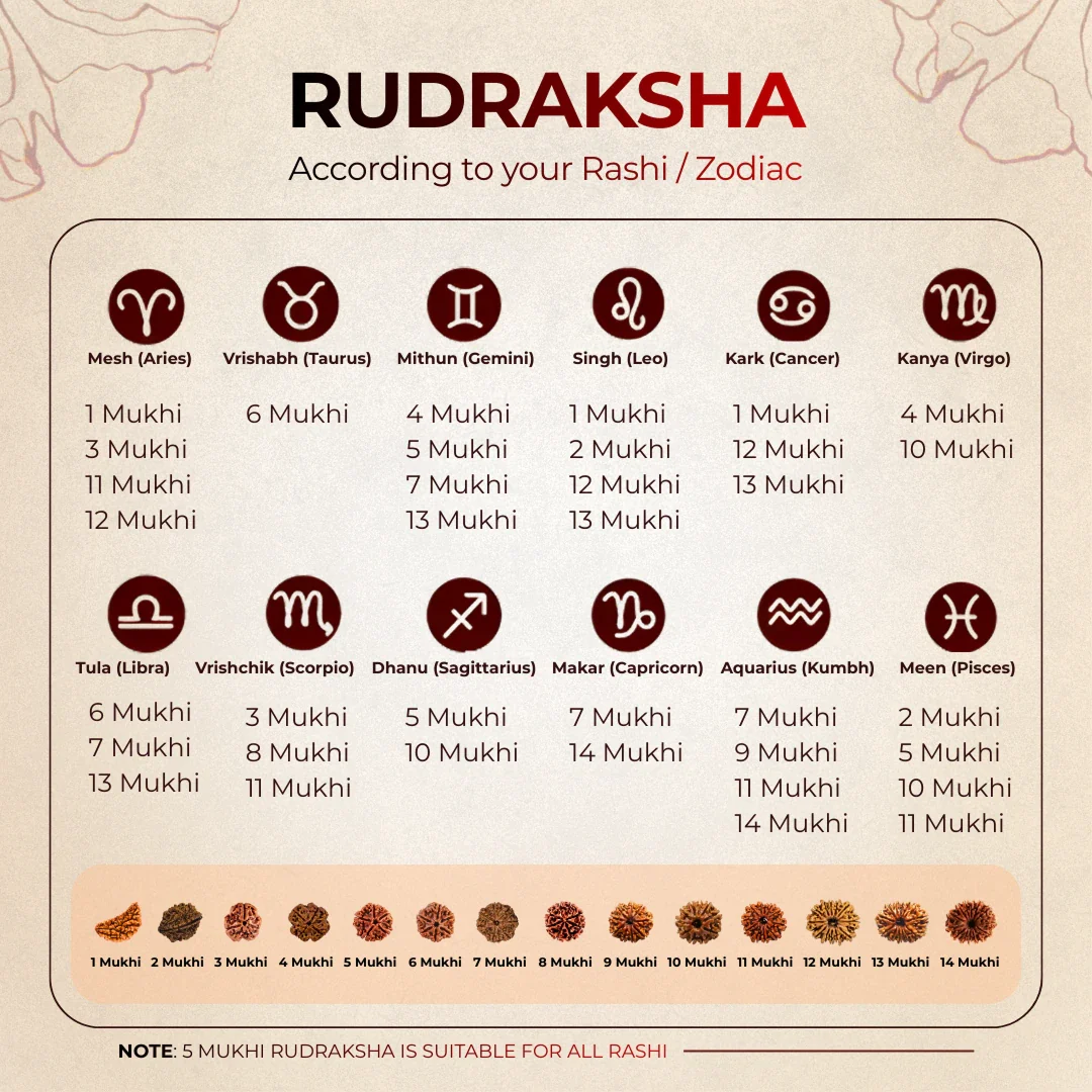 1 Mukhi Lab Certified Rudraksha - Image 5