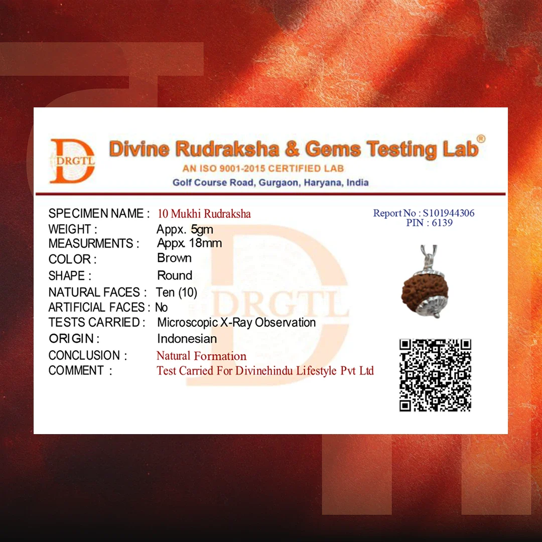 10 Mukhi Lab Tested Certified Rudraksha - Image 7