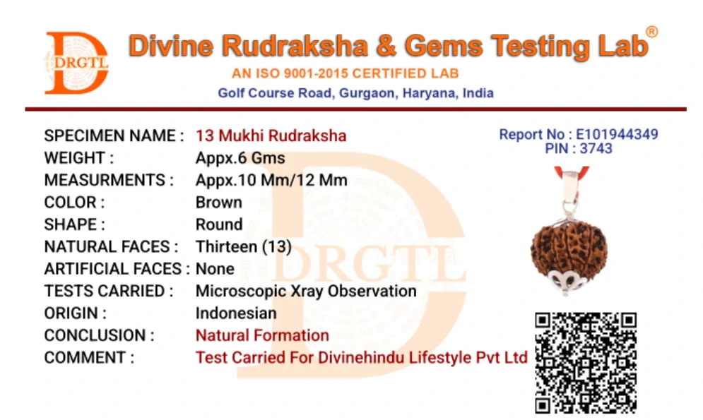 13 Mukhi Lab Tested Certified Rudraksha - Image 9