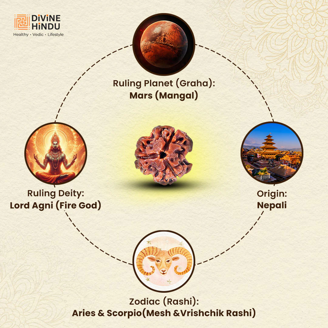 3 Mukhi Lab Certified Rudraksha - Image 4