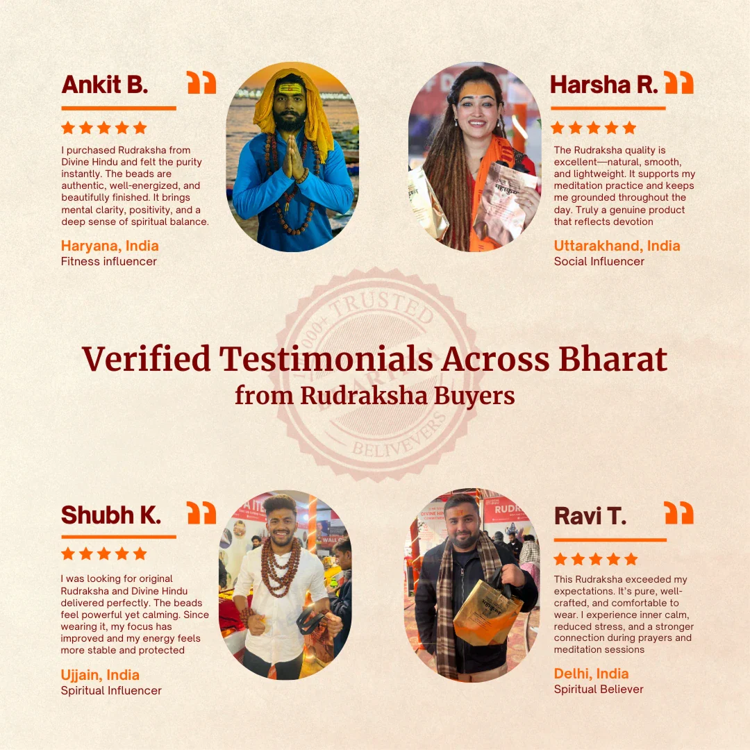 2 Mukhi Lab Tested Certified Rudraksha - Image 9