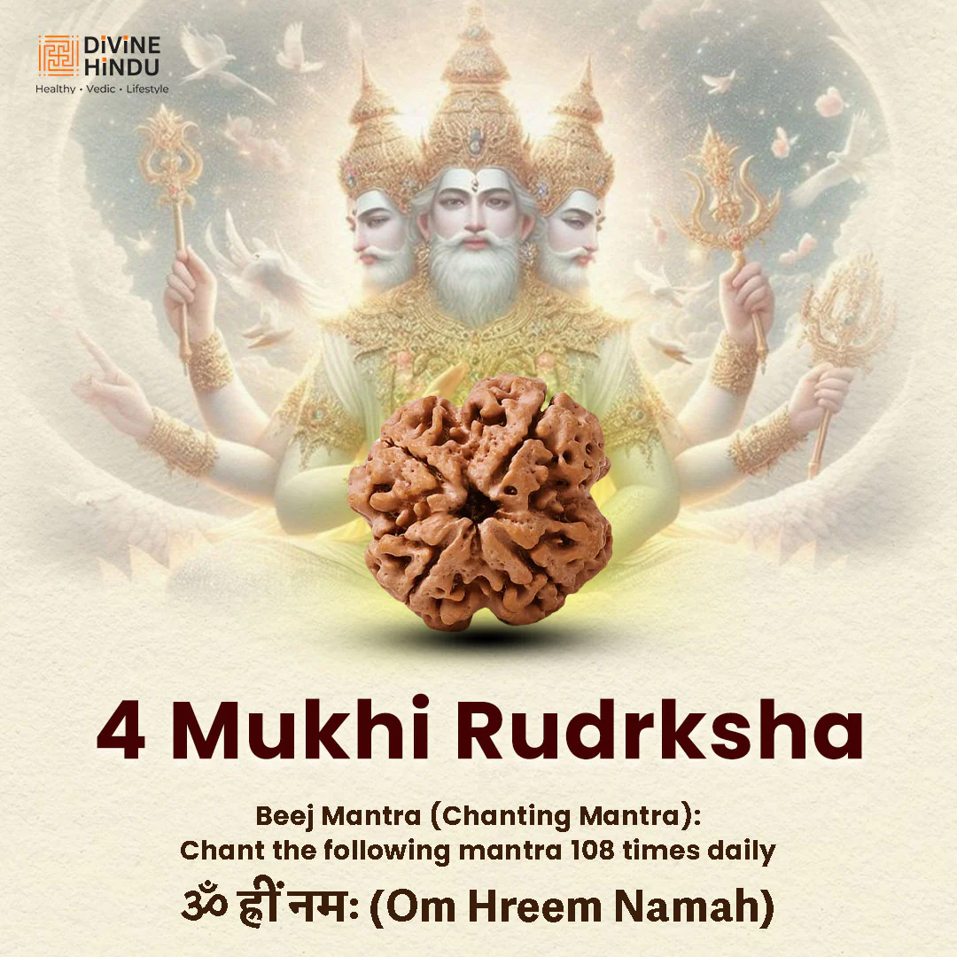 4 Mukhi Lab Tested Certified Nepali Rudraksha - Image 6