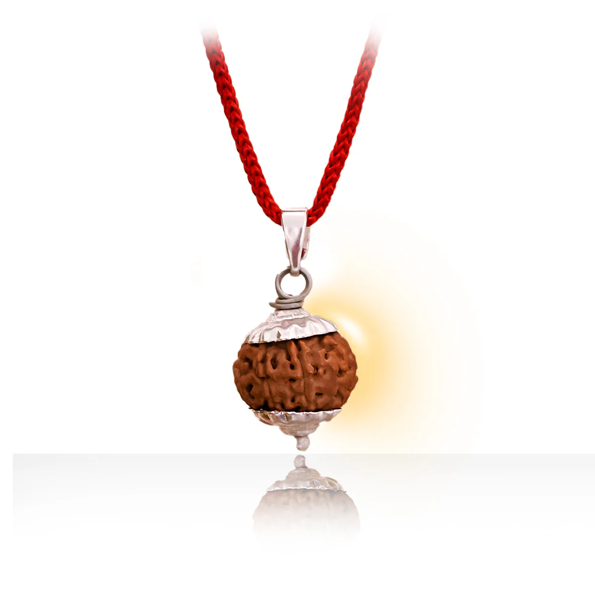 7 Mukhi Premium Rudraksha - Image 3