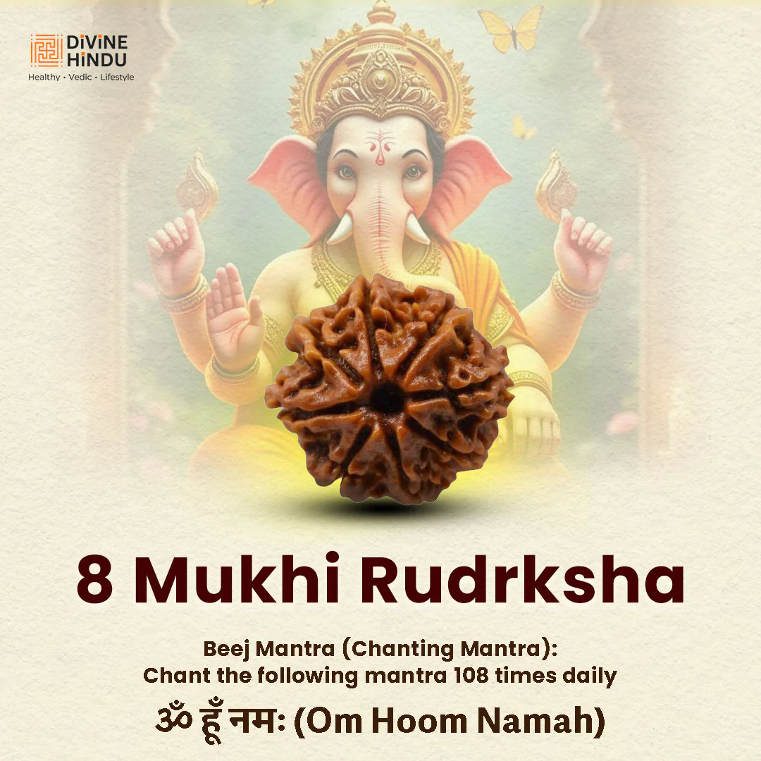 8 Mukhi Lab Tested Certified Rudraksha - Image 5