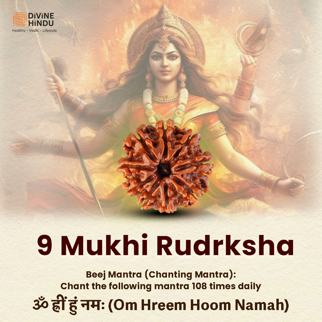 9 Mukhi Lab Tested Certified Rudraksha - Image 5