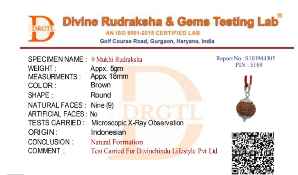 9 Mukhi Lab Tested Certified Rudraksha - Image 8