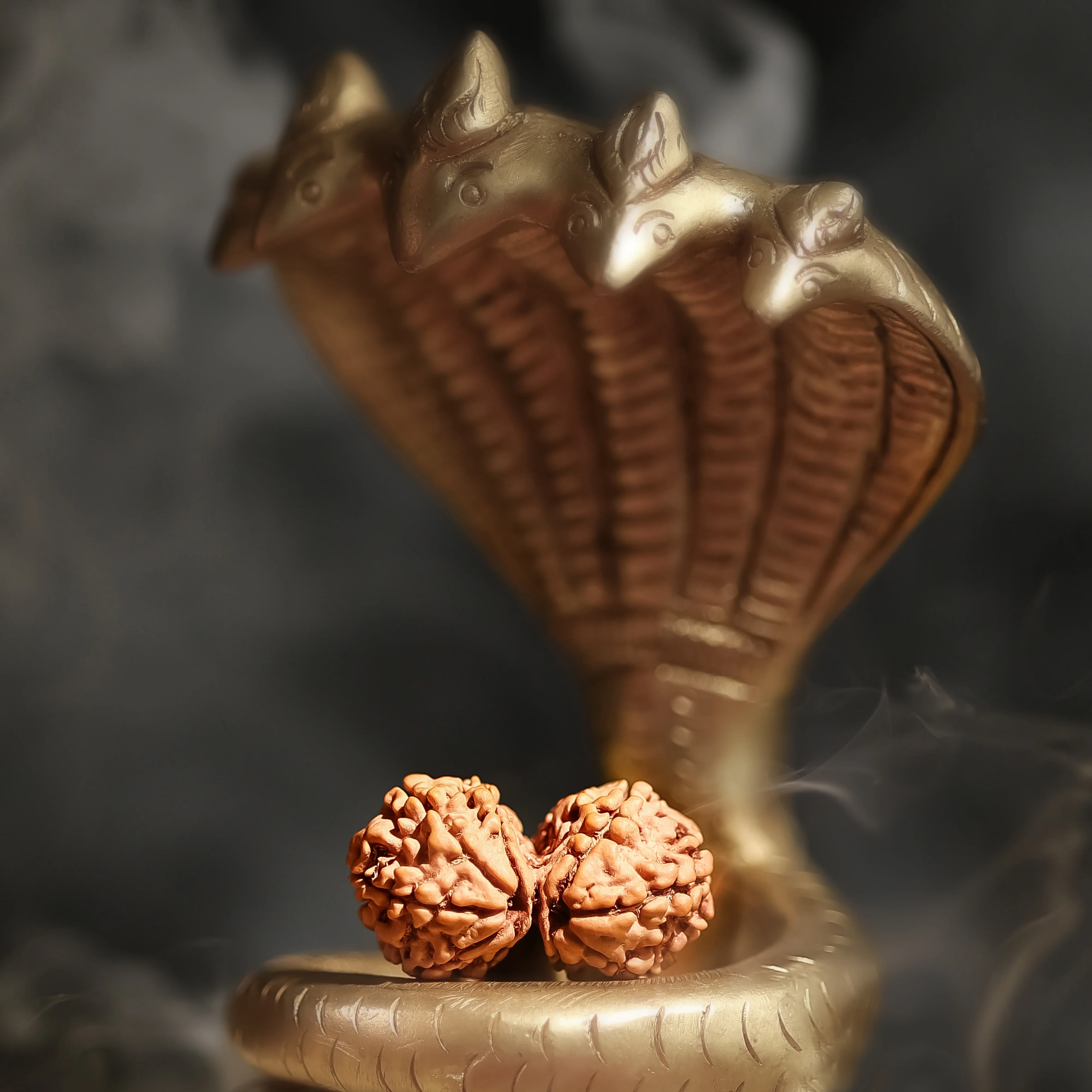 Gauri Shankar Rudraksha - Image 4
