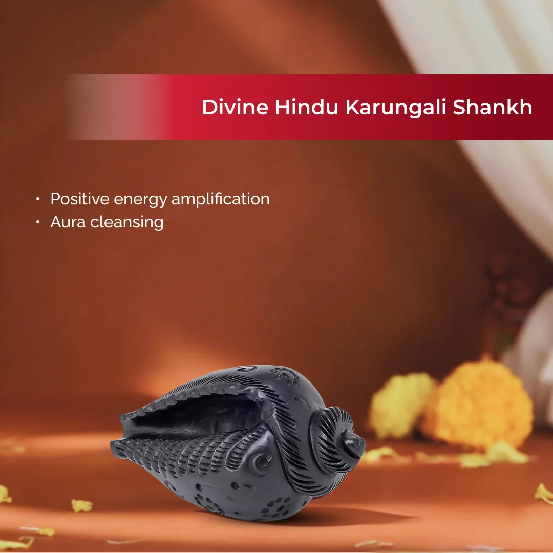 Divine Hindu Karungali Shankh For Pooja - Image 3