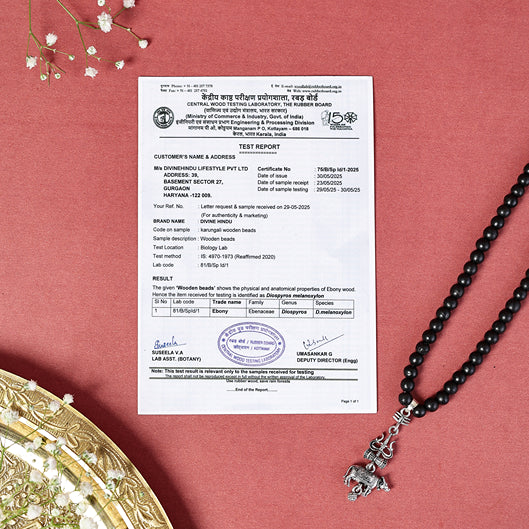 Original Karungali Malai with Shiv Trishul & Nandi Pendant with FREE Karungali Bracelet - Image 6