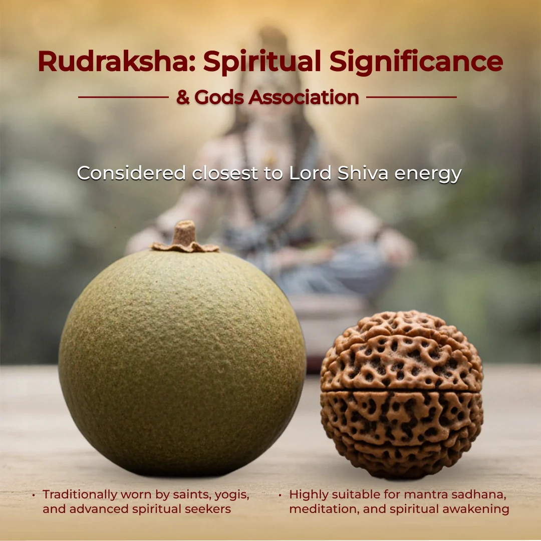 Gold Plated Round Rudraksha Bracelet - Image 5
